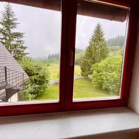 Allgaeuer Mit Schwimmbad- Und Sauna-zugang * Wiggensbach