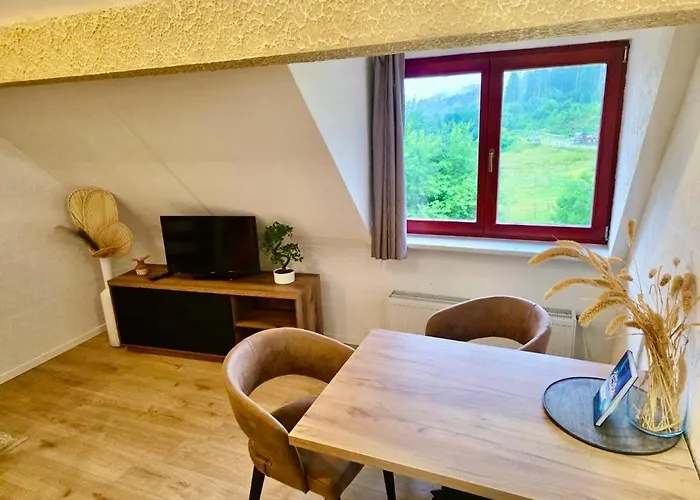 Allgäuer Mit Schwimmbad- Und Sauna-zugang Apartment